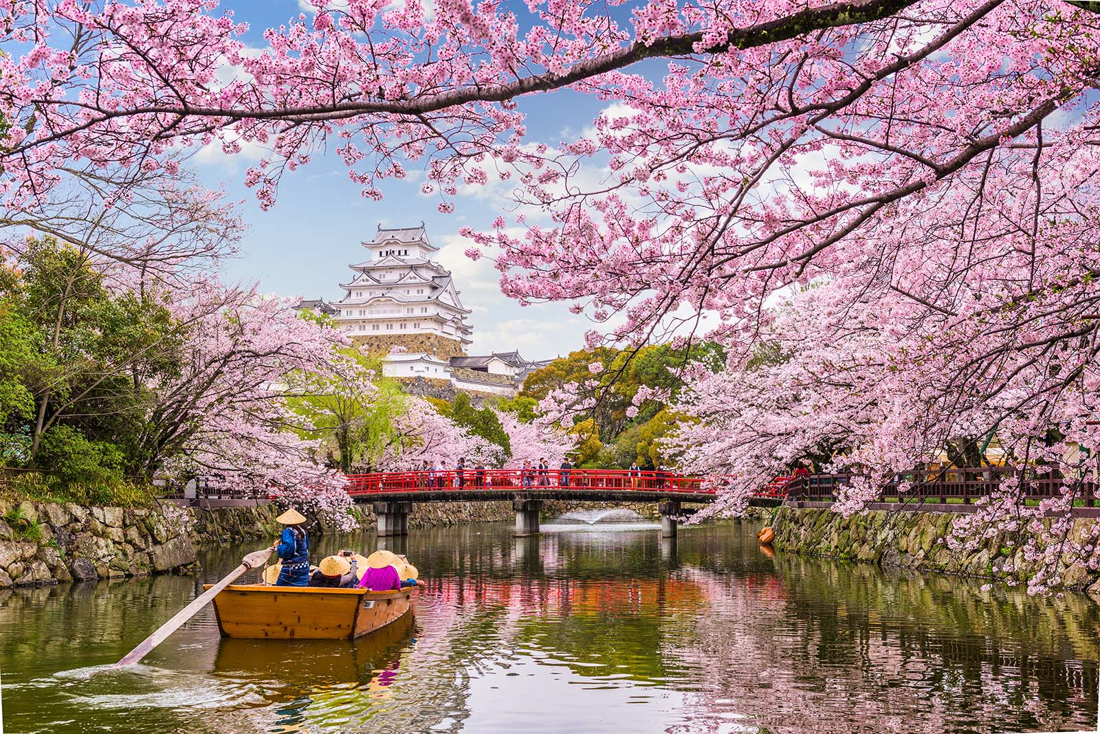 Spring Japan Janesco