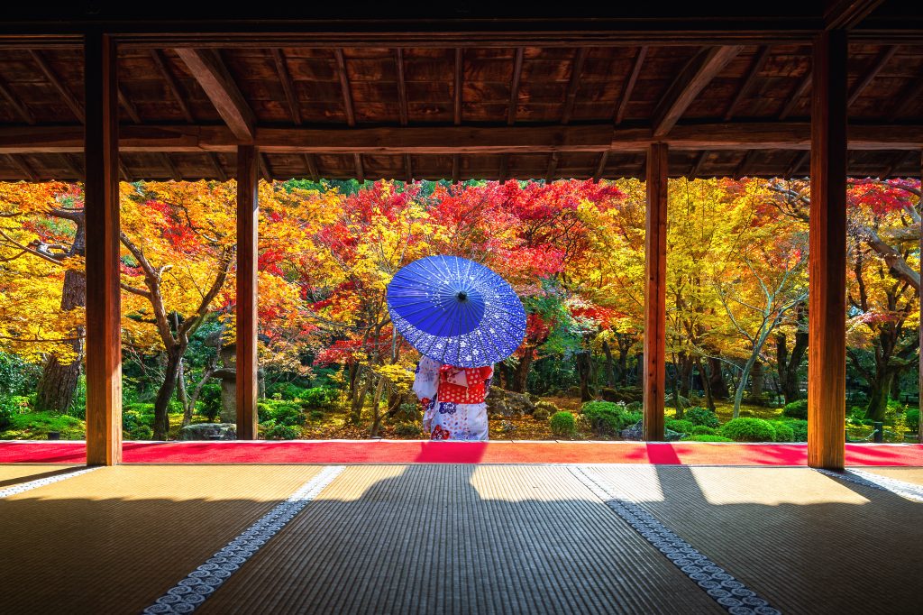 Kimono Clad And Viewing Autumn Garden