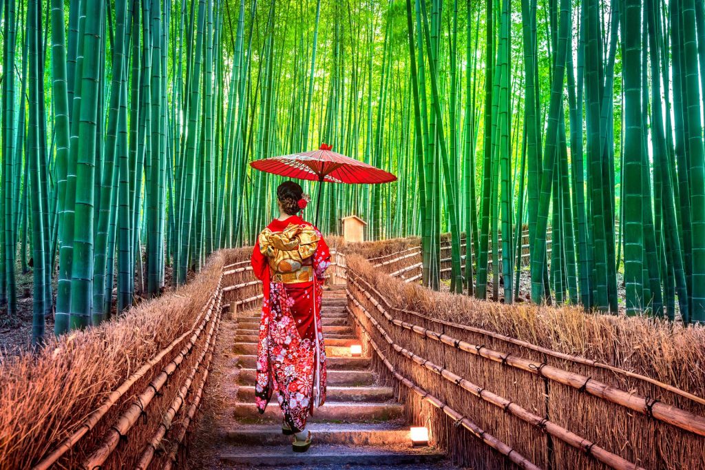 Bamboo Forest in Kyoto, Japan.