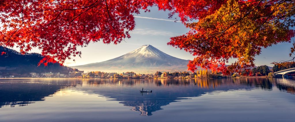 Mt Fuji Autumn