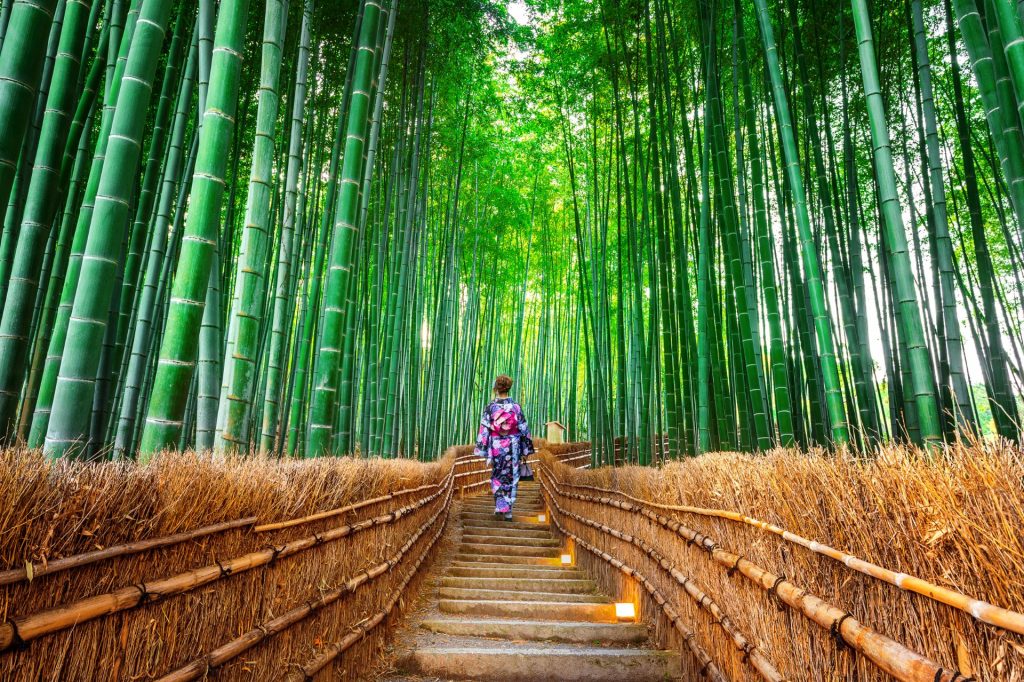 Kyoto Bamboo Forest