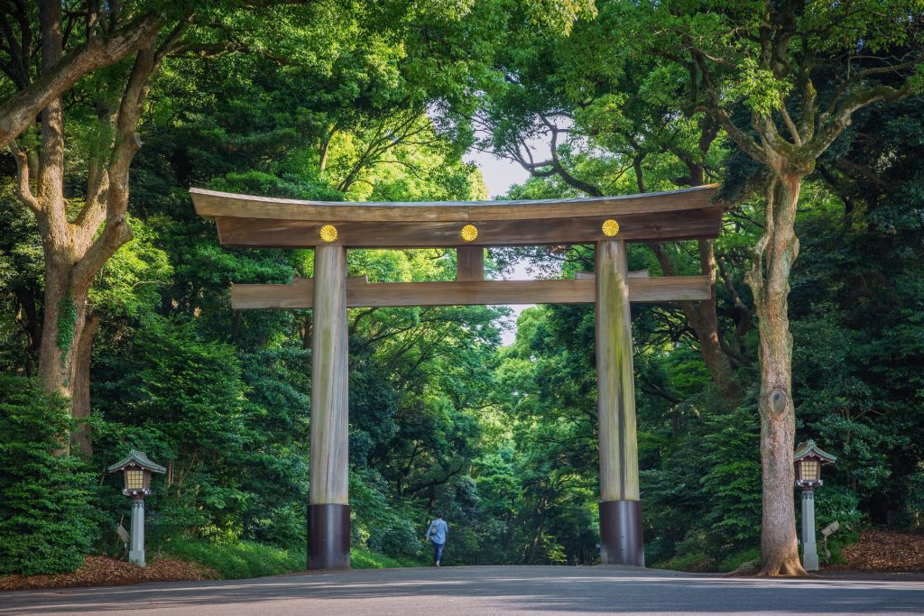 Meiji Shrine Tori Gate