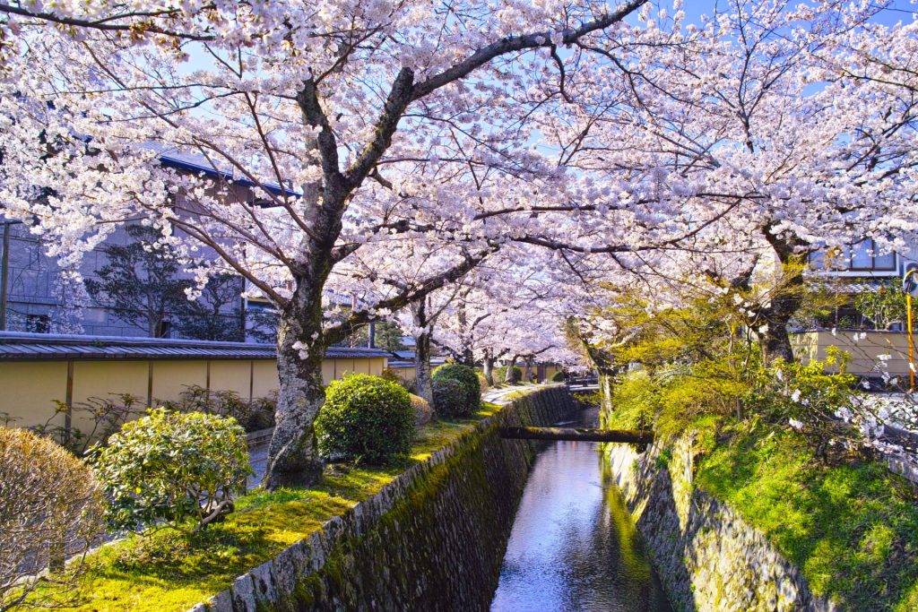 Philosophers Path, Kyoto