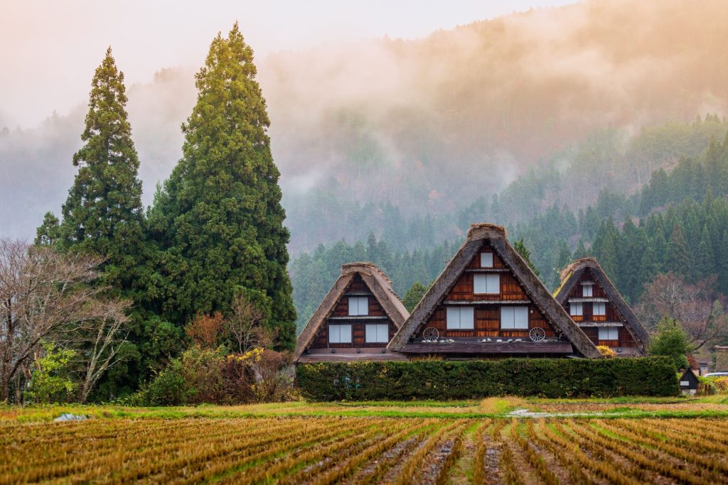 Shirakawago Traditional Houses