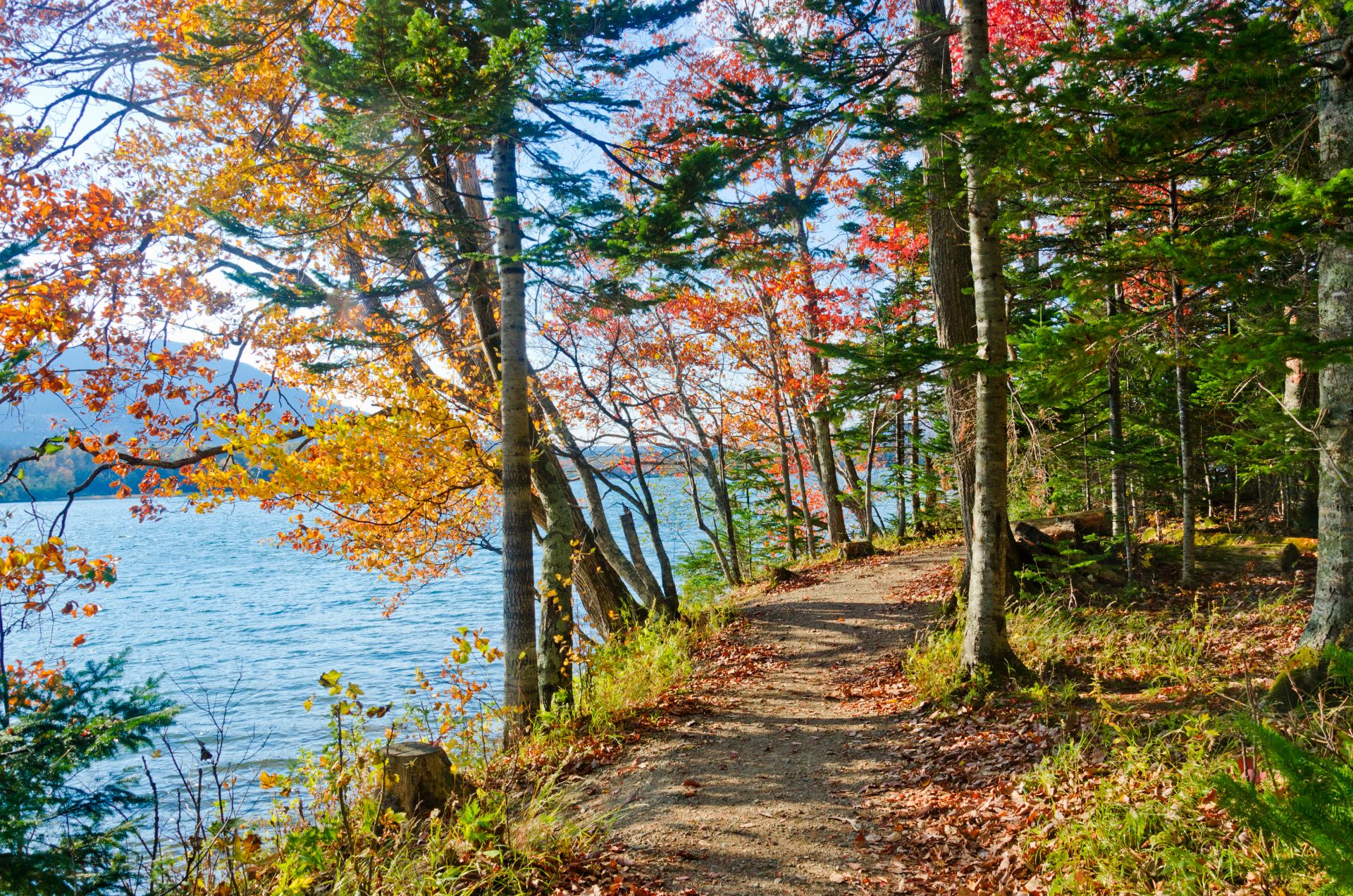 Lake Akan Walking Track