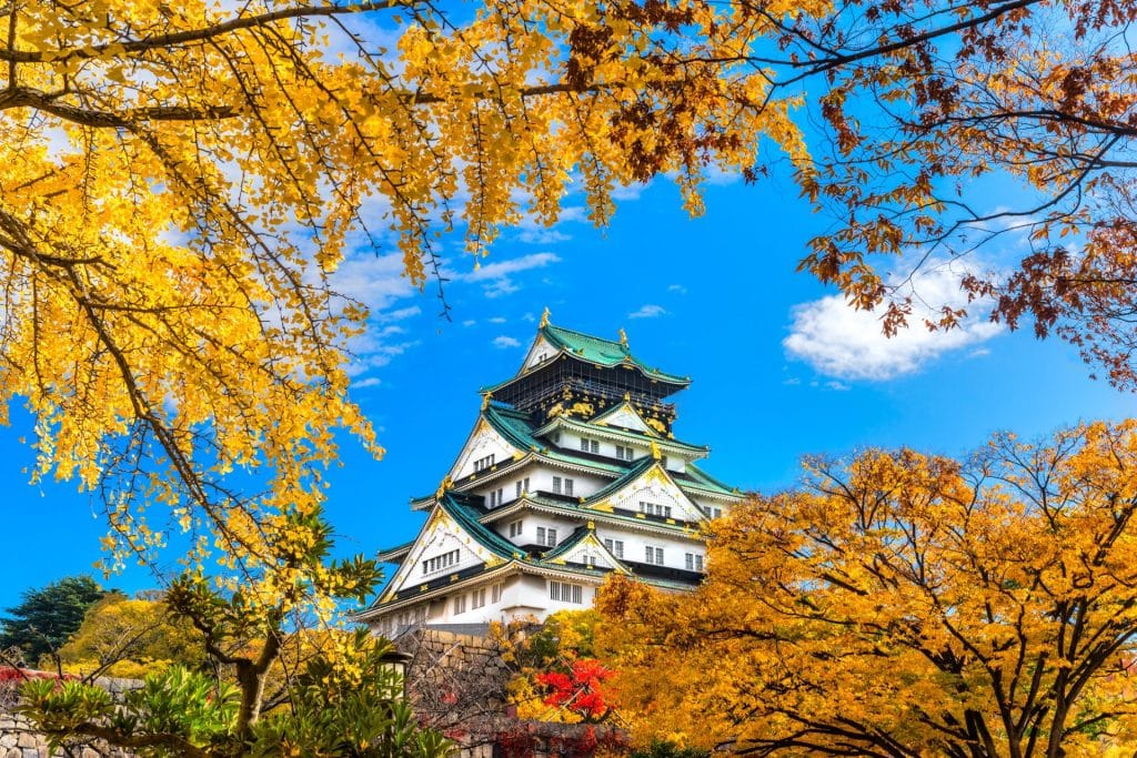 Osaka Castle Autumn Leaves