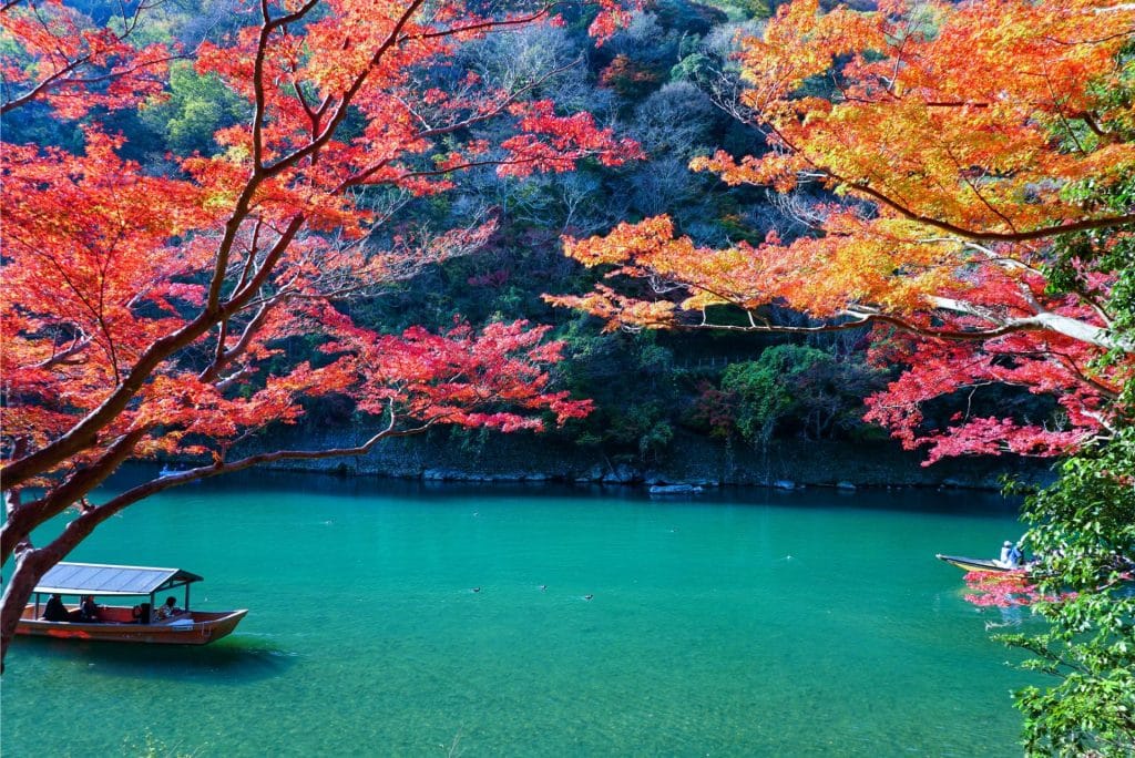 Boating In Arashiyama During Autumn, Kyoto