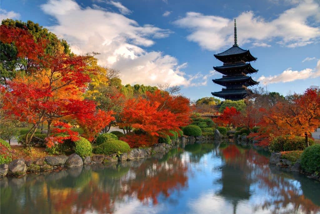 To Ji Temple In Nara Japan, Autumn