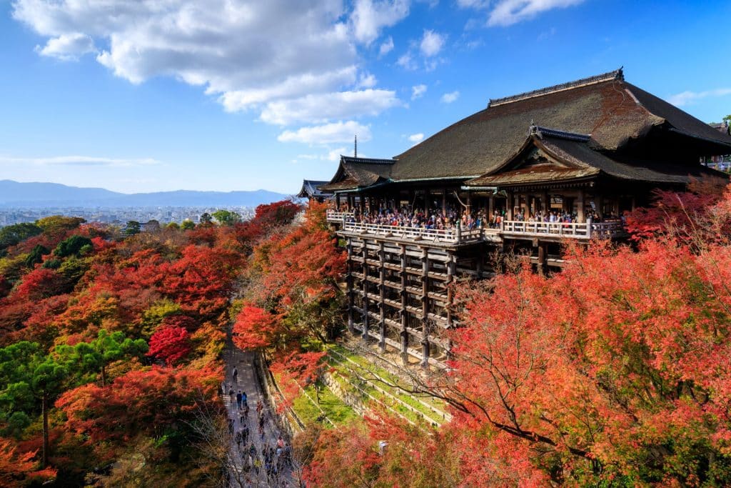 Kiyomizu Temple Autumn Leaves Full Shot