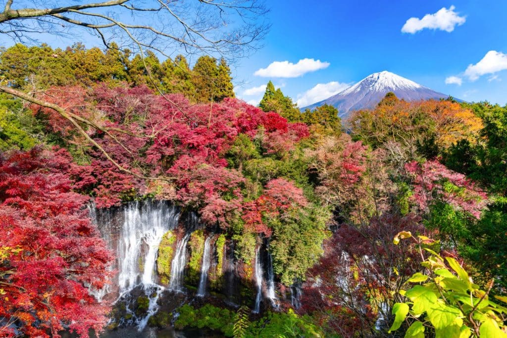 Shiraito Falls With Mt Fuji In The Background, Autumn